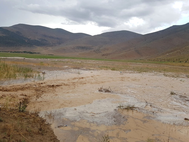 Antalya’da Şiddetli Yağmur Nohut Tarlalarını Çamur Deryasına Çevirdi