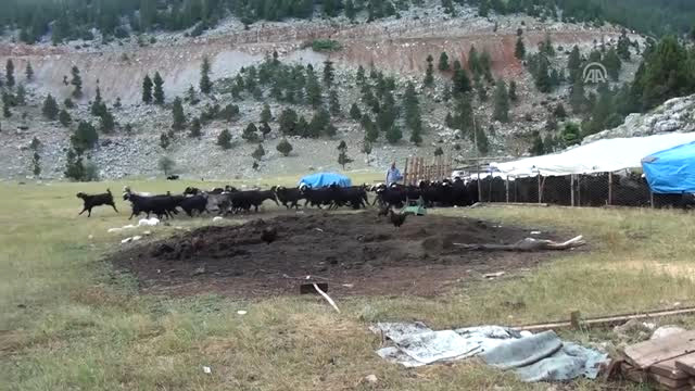 Antalya’da Yörükler Yaylalara Yerleşti