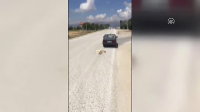 Köpeği Otomobile Bağlayıp Sürükleyen Kişi Hakkında Suç Duyurusu