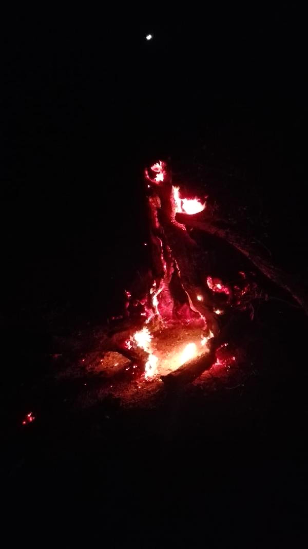 Antalya’da Orman Yangını (2)