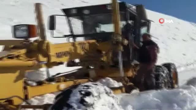 Antalya’da Karda Mahsur Kalan 100 Büyükbaş Hayvan Kurtarıldı