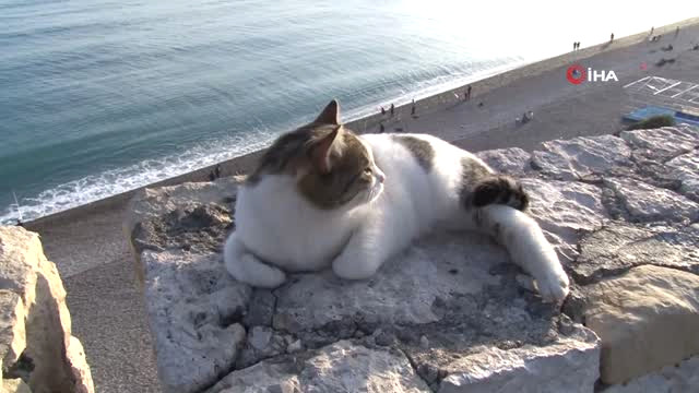 Antalya’da Sel Felaketinin Ardından Güneş Keyfi