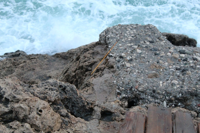 Emekli Doktor Denize Düşen Oltasını Almak İsterken Boğuldu