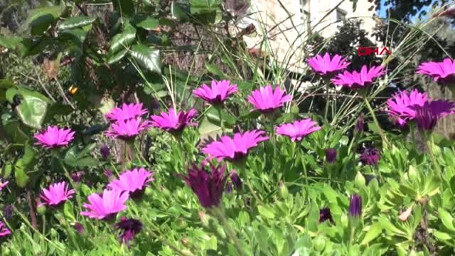 Antalya Cemre Havaya Düştü, Demre’de Doğa Canlandı