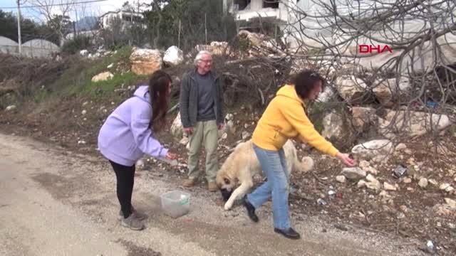 Antalya Ormanlık Alanlara Terk Edilen Köpeklerin Gönül Dostu Oldular