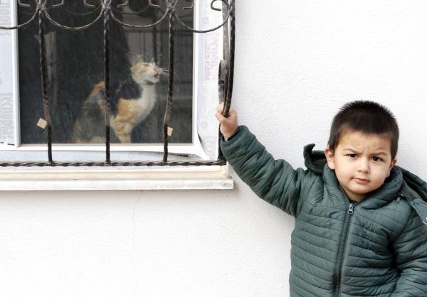 Boş Dairede Mahsur Kalan Kedi Kurtarıldı