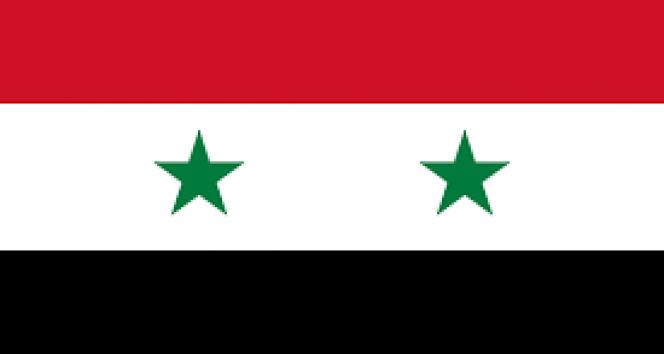 Suriye İnsan Hakları Ağı: “12 Ocak-4 Şubat arasında 155 sivil öldü”