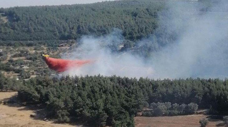 İzmir’de orman yangını
