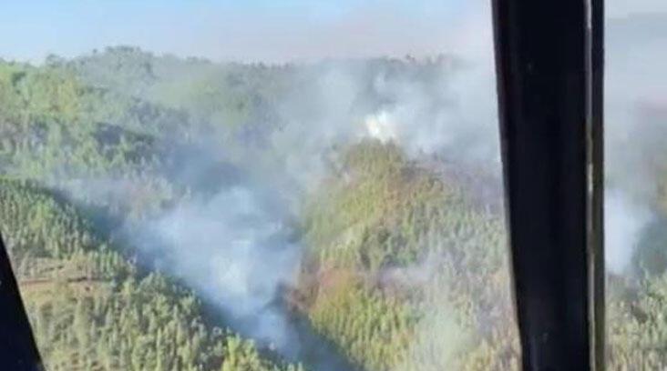 Alanya’da orman yangını