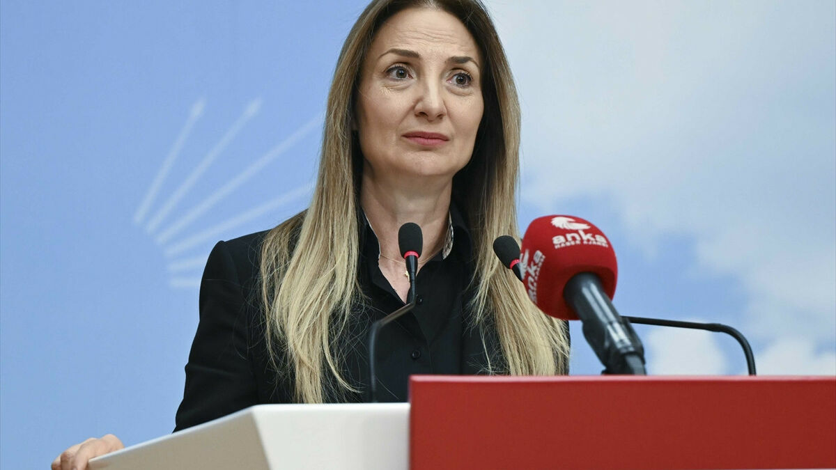 CHP Kadın Kolları Başkanı Aylin Nazlıaka: Kayıp çocuklarla ilgili ekip oluşturduk