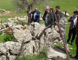 Köylüler, yılın yalnızca 20 günü açan aksi lalelerin başında nöbet tutuyor! Koparmanın cezası 244 bin lira