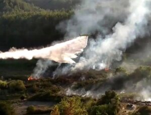 Antalya’da Orman Yangını Denetim Altına Alındı