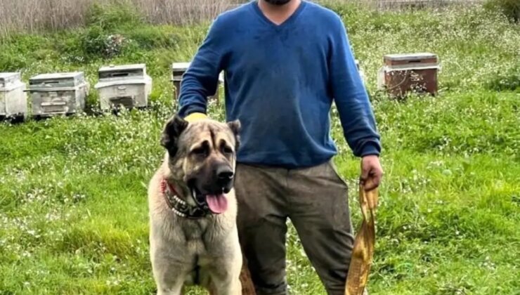 Antalya’da Denize Atlarken Ağır Yaralanan Genç Hayatını Kaybetti