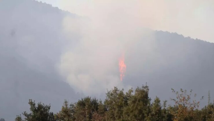 Denizli’deki orman yangını denetim altına alındı