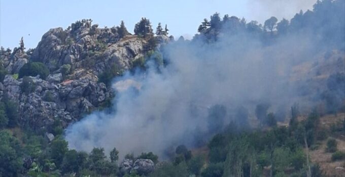 Alanya’da zirai alanda çıkan yangın söndürüldü